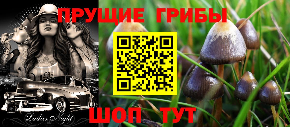 Галлюциногенные грибы Psilocybine cubensis  Галлюциногенные грибы Psilocybe  Вход с VPN  Ковров 
